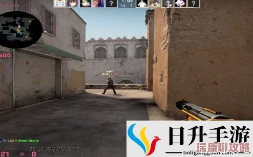 暴躁老阿姨csgo新手技巧小说