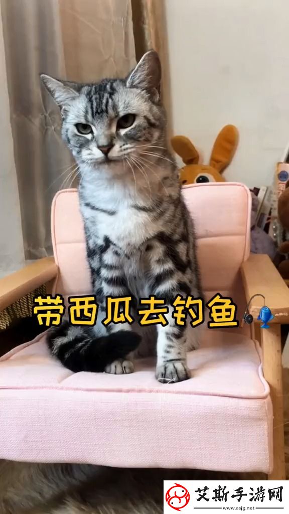 51cg今日吃瓜胖猫：红萌宠的欢乐日常揭秘