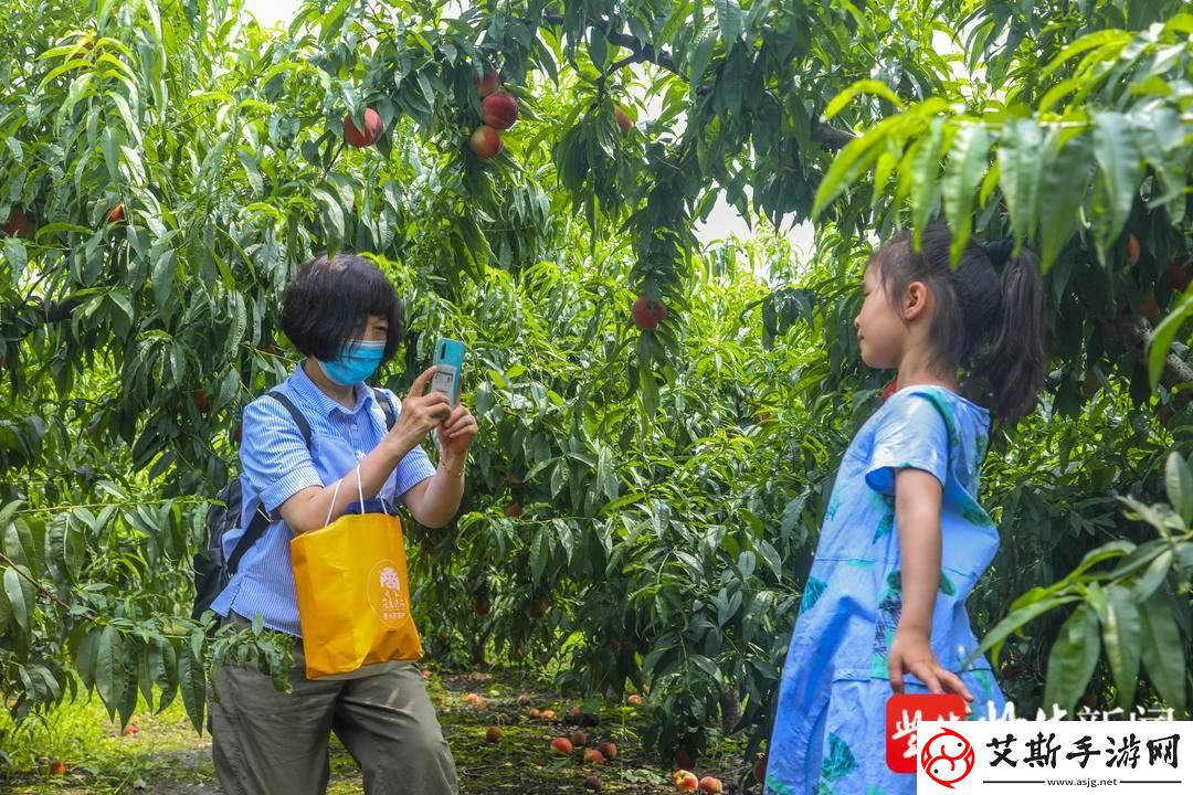 如何无广告畅享桃子视频在线完整观看：详细指南