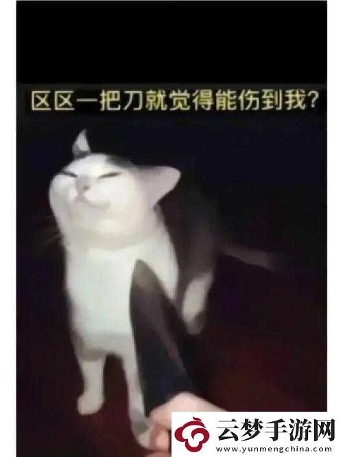 一人一狗被困游戏