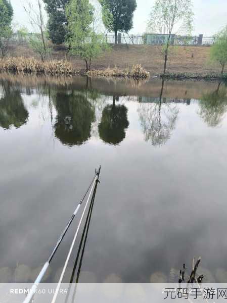 鲤鱼喝水技巧图解，鲤鱼饮水的独特技巧与健康秘诀