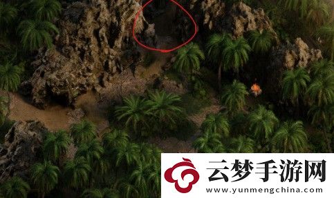 纳迪亚之宝芦荟植物怎么获取-获取方法位置一览