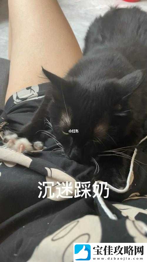 一起嗟嗟嗟嗟嗟视频：独特的奇妙体验