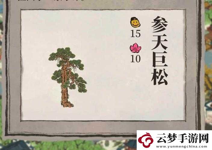 探秘江南百景图：参天巨松的神秘用途