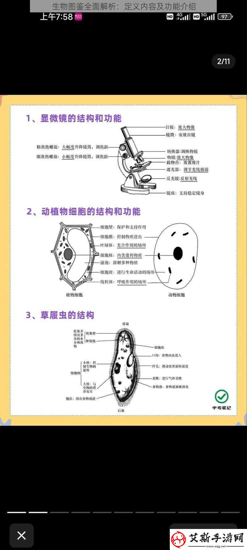 生物图鉴全面解析：定义内容及功能介绍