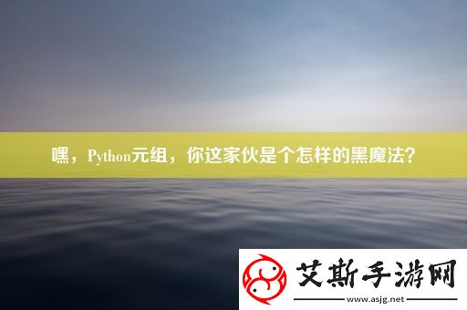 嘿Python元组你这家伙是个怎样的黑魔法