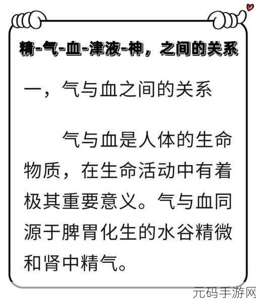 精二和精三有何不同，1. 精二与精三的区别解析：选择适合你的版本