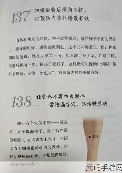 国精产品W灬源码1688养生，W灬源码1688：养生新理念，健康生活从这里开始