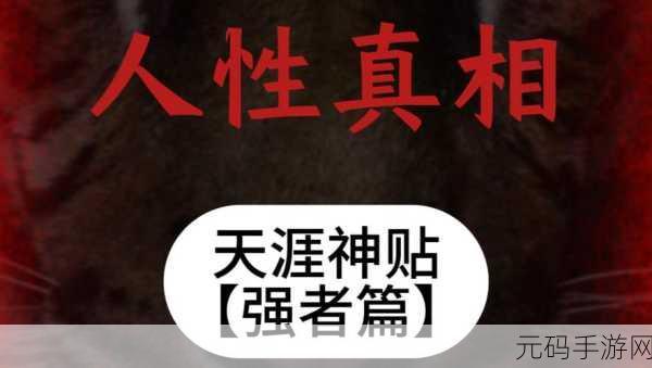 人性理论与XY理论的关系，1. 探索人性理论与XY理论的交汇点