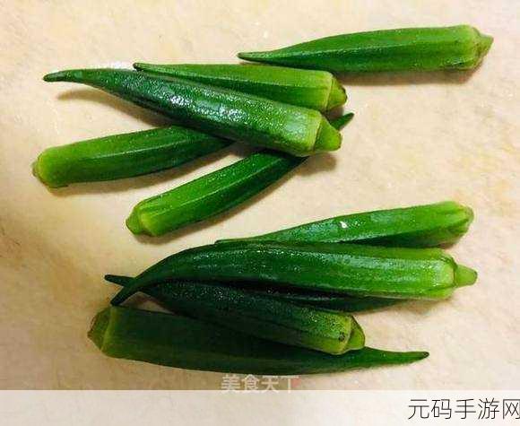 秋葵茄子丝瓜香瓜榴莲大全，1. 秋葵、茄子与丝瓜的美味搭配探索