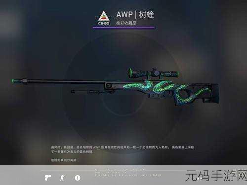 日本CSGO大姐姐AWP价格是多少，以下是关于日本CSGO大姐姐AWP价格的扩展