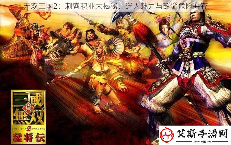 无双三国2：刺客职业大揭秘迷人魅力与致命危险并存