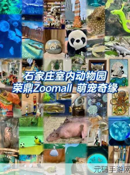 最新的ZOOM动物马，1. ＂深入探讨ZOOM动物**生物特性与生态环境