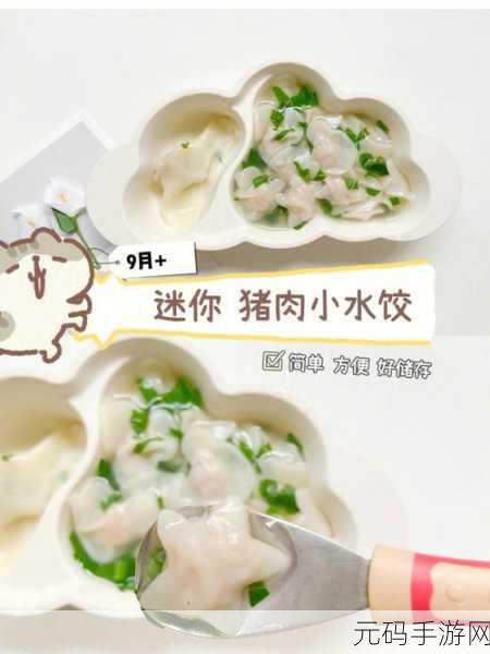 课后辅导肉馅小水饺，1. 创意水饺：丰富肉馅的新风味探索