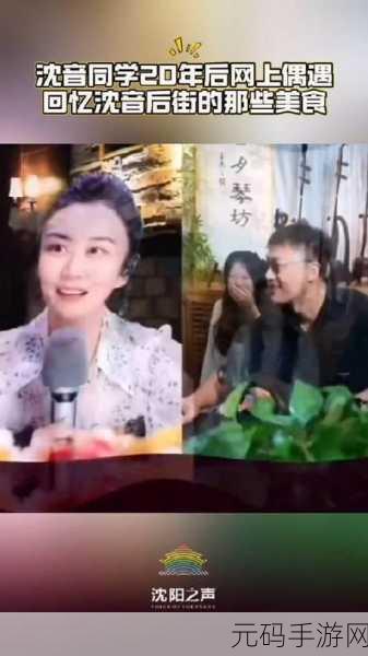 在御花园进入太子妃沈音等我回来，在御花园相约：太子妃沈音的等待与希望