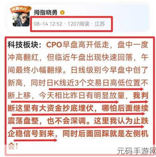 次次挨揍cpo的应对策略，次次挨揍CPO的应对策略：如何在压力中逆风翻盘