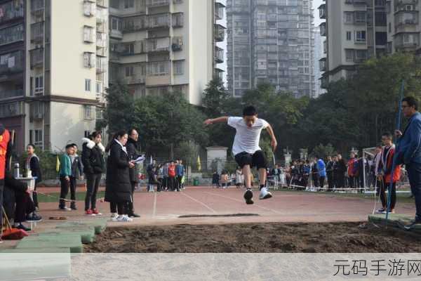 YN荡校园运动会，1. ＂校园运动会：奔跑青春，挥洒热情