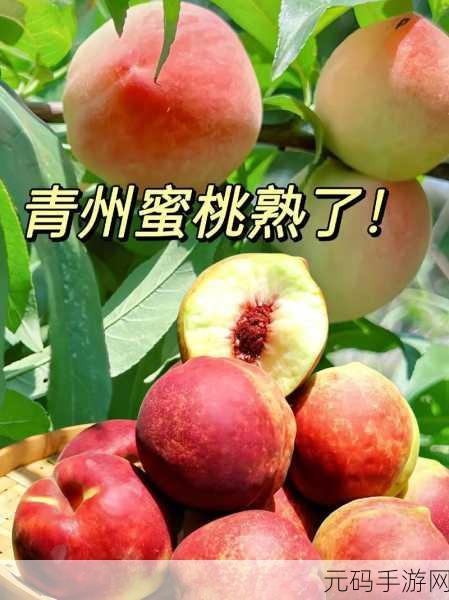 蜜桃传媒，＂蜜桃传媒：引领未来数字内容创作的新风潮