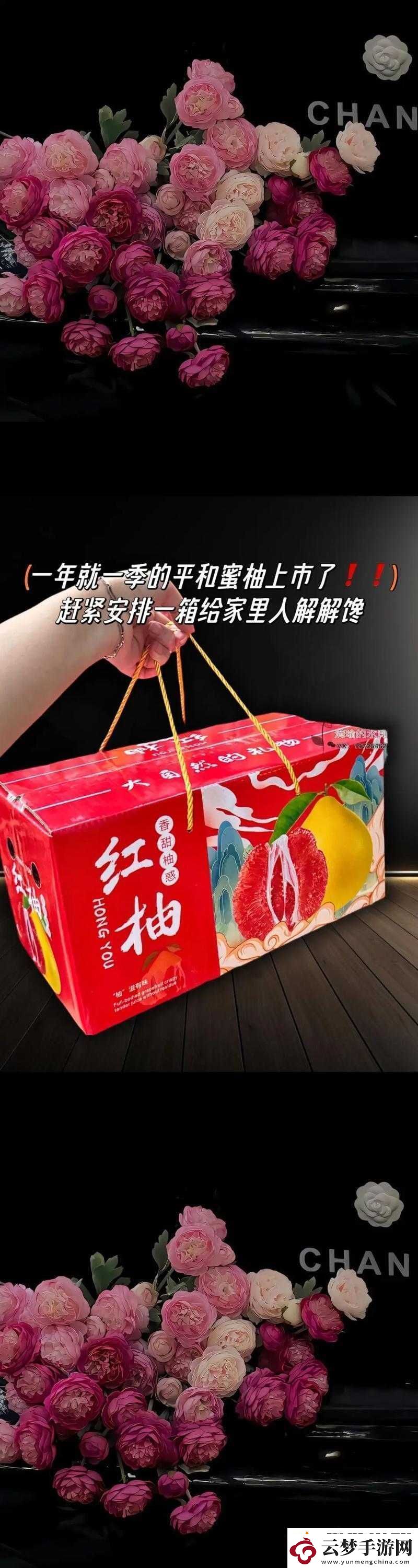 蜜柚-166：打造高品质生活的必备之选