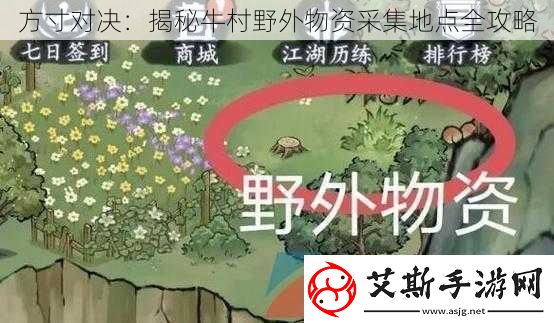 方寸对决：揭秘牛村野外物资采集地点全攻略