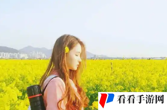 五姑娘影院在线播放电视剧第3季，粉丝：期待心中的奇幻旅程再度开启