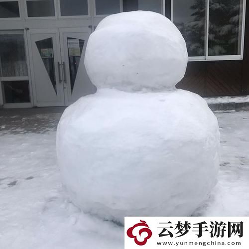 雪球秀