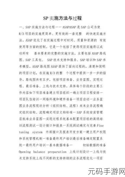 SP的标准惩罚是什么，1. SP标准惩罚的深度解读与应用探讨