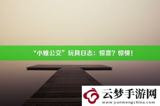 “小雅公交”玩具日志