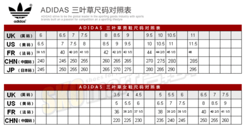 三叶草M码和亚洲码区别，“探讨三叶草M码与亚洲码的尺码差异及适用性分析”