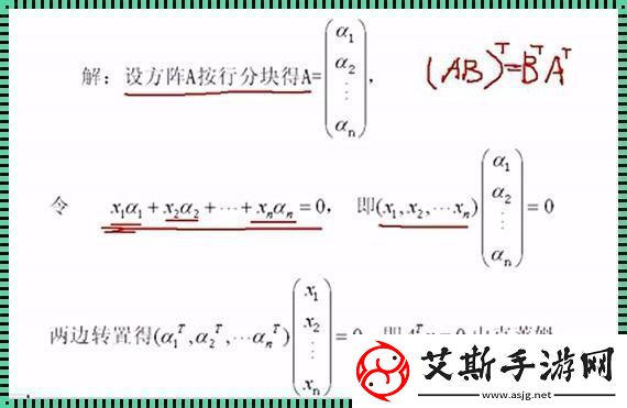 “浪子”行列式线性无关的“嬉皮笑脸”