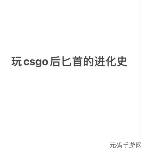 55岁大妈玩CSGO背后故事，1. 55岁大妈逆袭电竞圈：不被年龄束缚的梦想