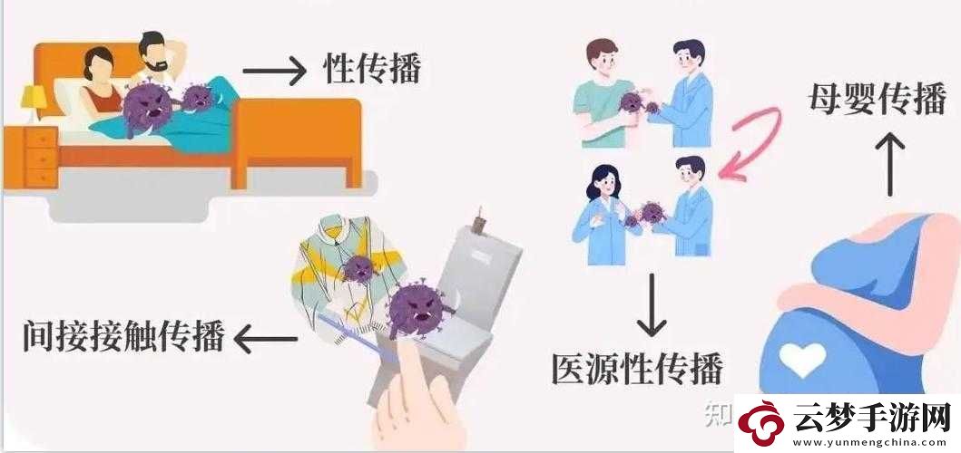 HPV-感染与性接触关系解析：全面解读性传播疾病的真相