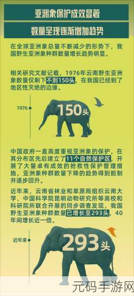 满18点此安全转入2023大象科技，大象科技2023：开启安全转账的新篇章