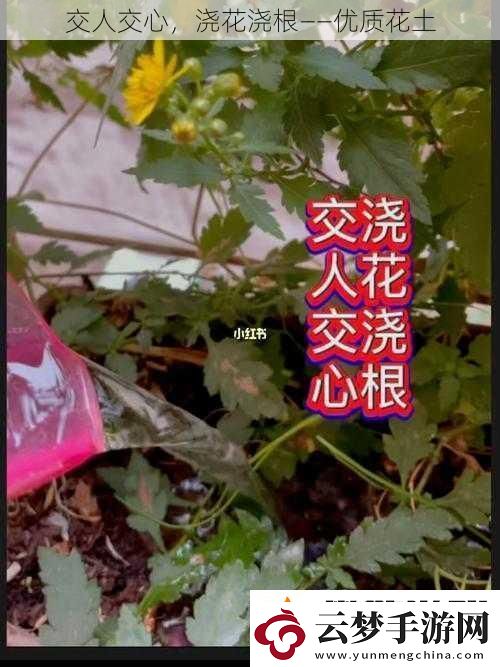 交人交心浇花浇根——优质花土