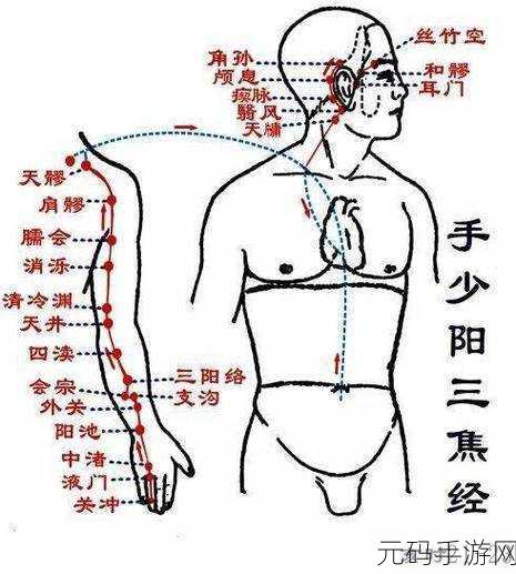 真北斗无双经络图攻略，解锁7级经络图的秘密