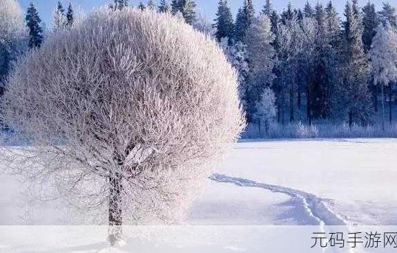 寒冬腊月，蚂蚁庄园携手手游新活动共庆仲冬，大雪小雪乐趣多