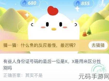 蚂蚁庄园探秘，咸鸭蛋流油之谜与小鸡答题乐趣无穷