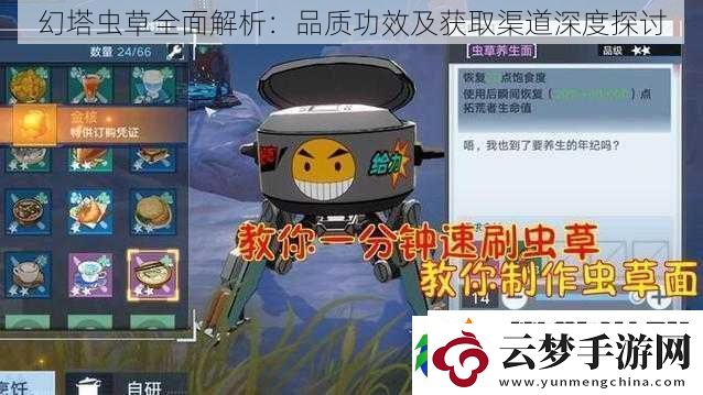 幻塔虫草全面解析：品质功效及获取渠道深度探讨