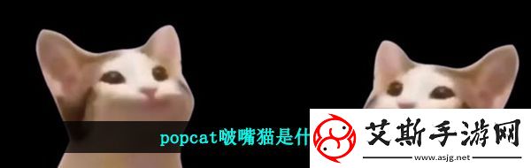 popcat啵嘴猫是什么梗-popcat啵嘴猫梗的意思介绍