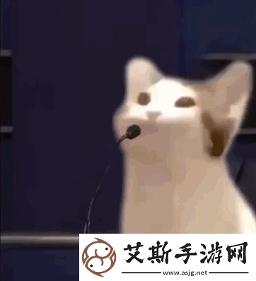 popcat啵嘴猫是什么梗