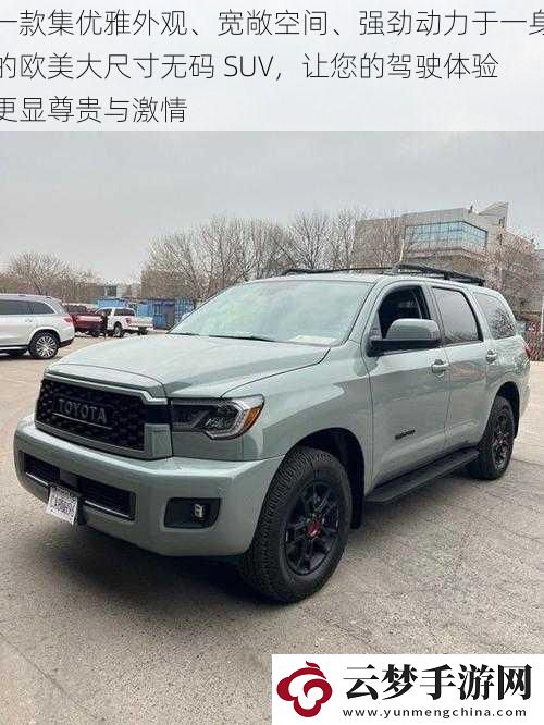 一款集优雅外观、宽敞空间、强劲动力于一身的欧美大尺寸无码-SUV-让您的驾驶体验更显尊贵与激情