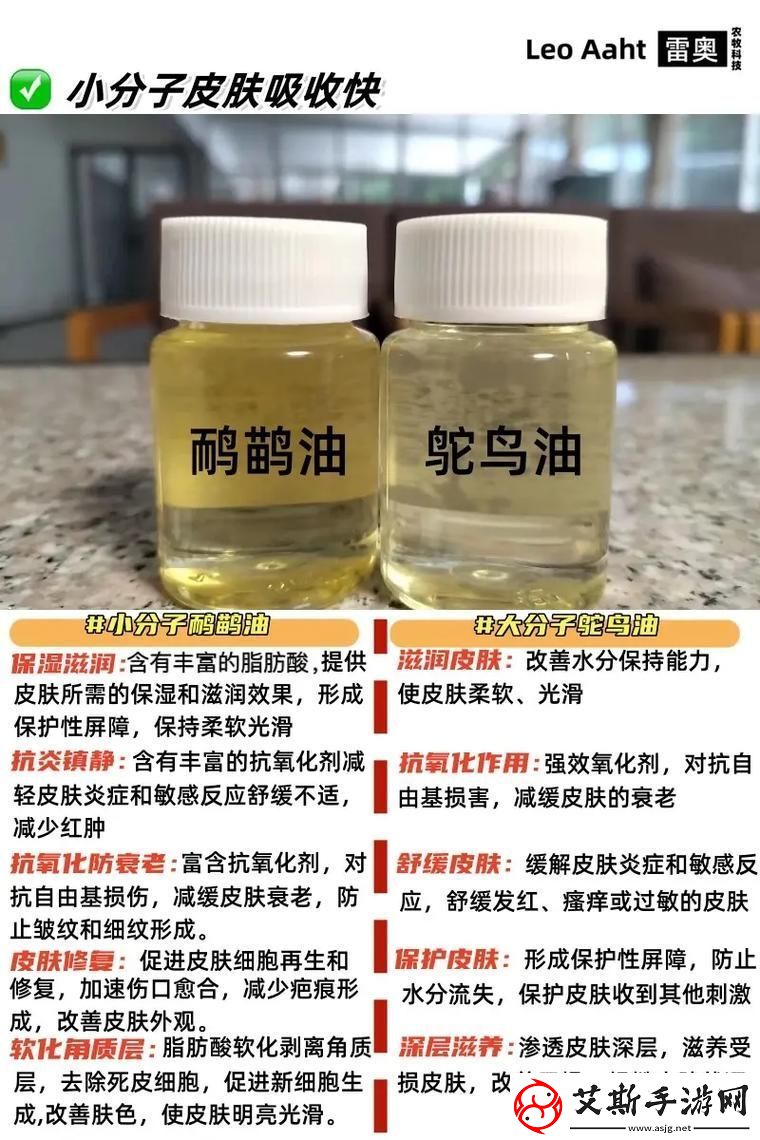 扌桑辶畐和畐畲的区别：深入探讨字形与意义