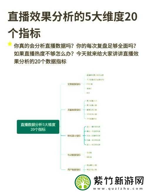 探索境外直播APP的魅力：全球实时互动体验与用户参与度的深度解析