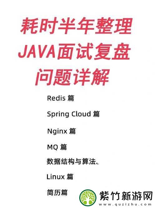 JavaGenericVisitorAdapter-使用技巧详解之深度剖析与实践应用