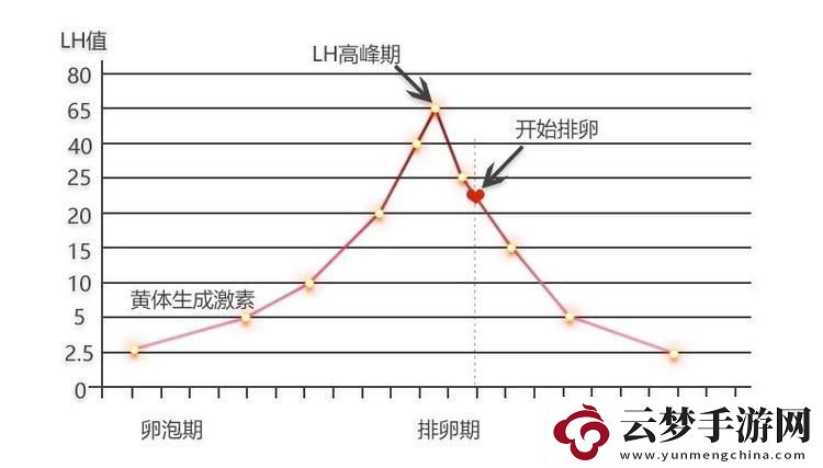 高能粒子碰撞