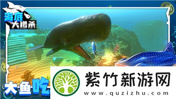 港诡实录视频攻略——深入解析游戏技巧与隐藏要素