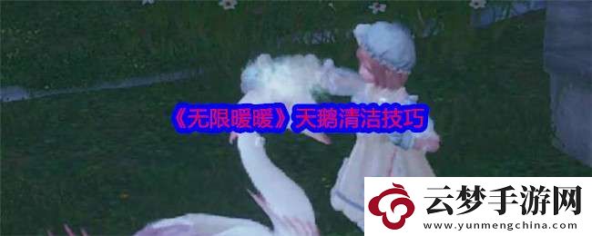 无限暖暖天鹅怎么清洁