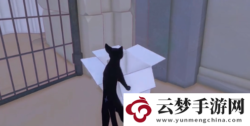 小猫咪大城市五个箱子在哪里