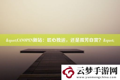 "CANOPEN新站：匠心独运-还是孤芳自赏-"