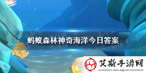 哪种海洋鱼类别名闪光鱼眼皮底下有两盏眼灯神奇海洋12月8日答案